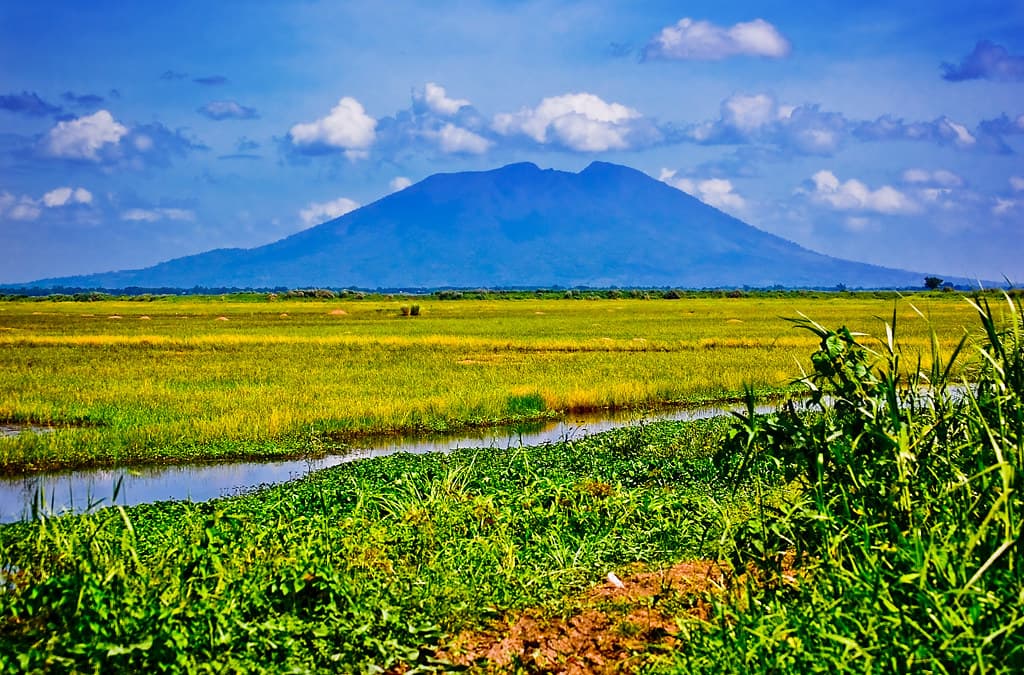 Mount Arayat
