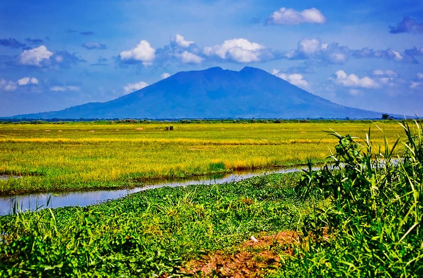 Mount Arayat